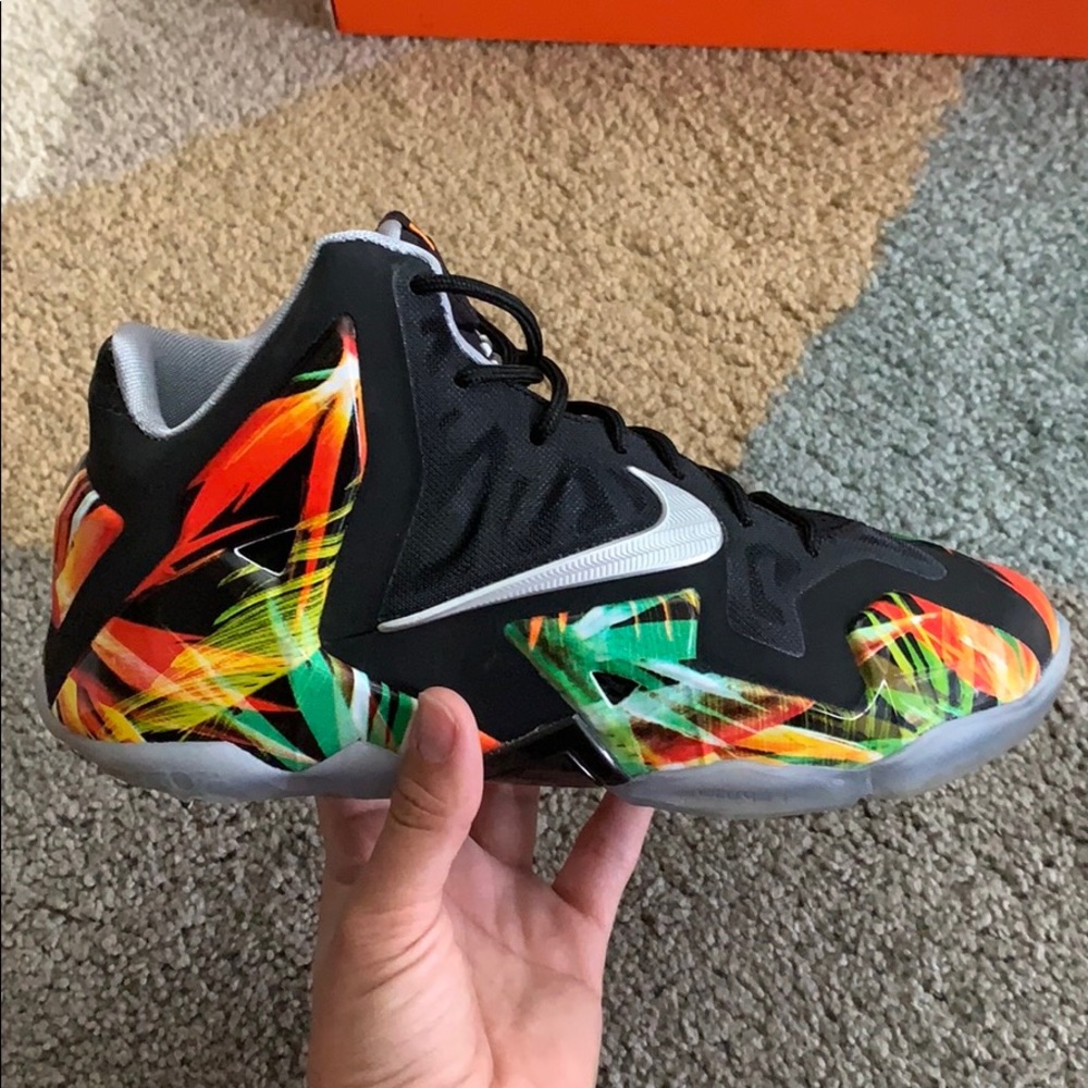SOLD: Lebron 11 Everglades